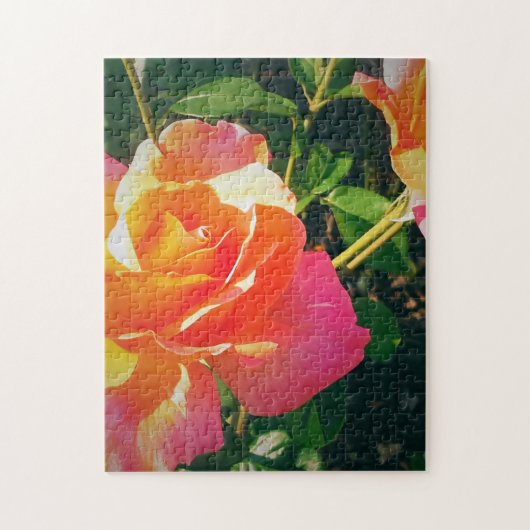 PUZZLE ROSE MULTI-COLORÉ (Vertical)