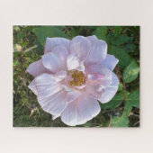 Puzzle Rose Pâle, Oakland (Horizontal)