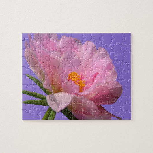 Puzzle rose Peony (Horizontal)