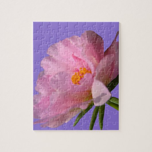 Puzzle rose Peony (Vertical)