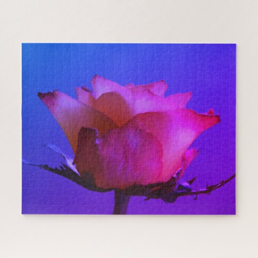 Puzzle rose Rose (Horizontal)