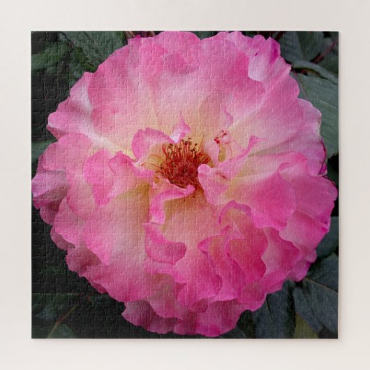 Puzzle rose Rose (Vertical)
