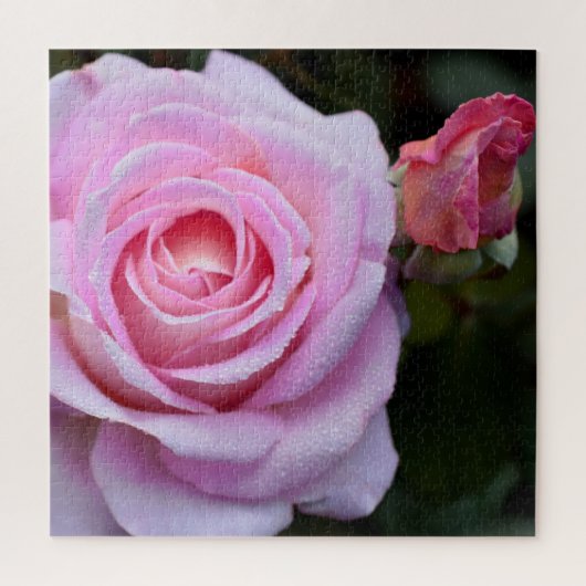 Puzzle rose Rose (Vertical)