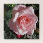 Puzzle rose Rose, 676 pcs (Horizontal)