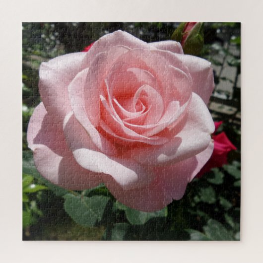 Puzzle rose Rose, 676 pcs (Vertical)