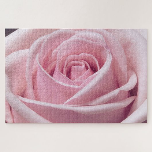 Puzzle Rose Rose Gros plan Photo (Horizontal)