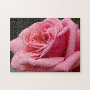Puzzle Rose rose I Jolie photo florale