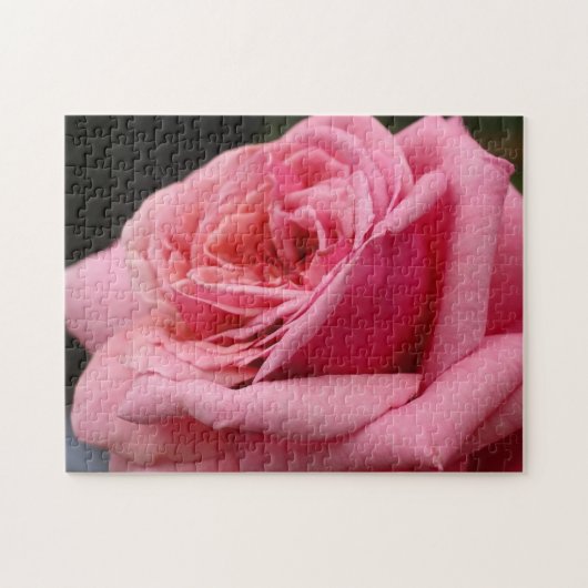Puzzle Rose rose I Jolie photo florale (Horizontal)