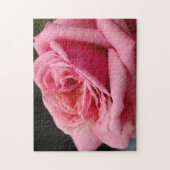 Puzzle Rose rose I Jolie photo florale (Vertical)