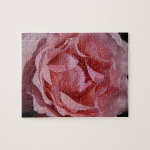 Puzzle Rose rose II Plutôt Floral
