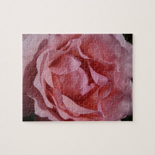 Puzzle Rose rose II Plutôt Floral (Horizontal)