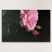 Puzzle Rose rose rose (Horizontal)