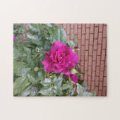Puzzle Rose rose rose (Horizontal)