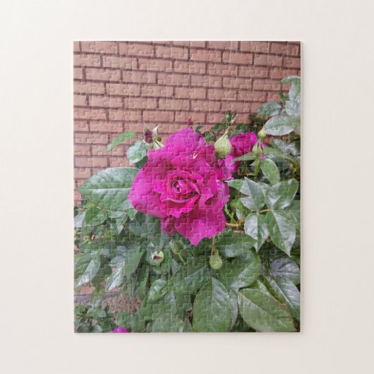 Puzzle Rose rose rose (Vertical)