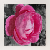Puzzle Rose rose rose avec gris du patrimoine parfait (Horizontal)
