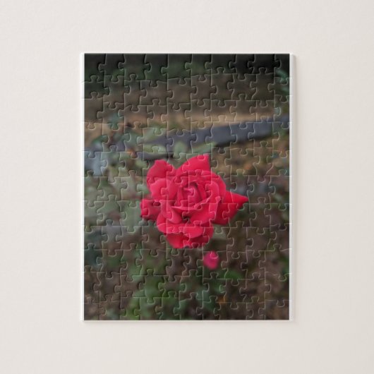 Puzzle Rose rouge (Vertical)