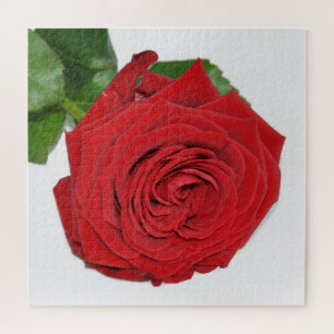 Puzzle Rose rouge