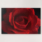 Puzzle Rose rouge 20x30 1014pc jpcna (Horizontal)