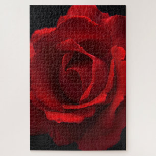 Puzzle Rose rouge 20x30 1014pc jpcna