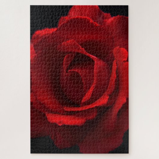Puzzle Rose rouge 20x30 1014pc jpcna (Vertical)