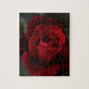 Puzzle Rose rouge de velours de Romance
