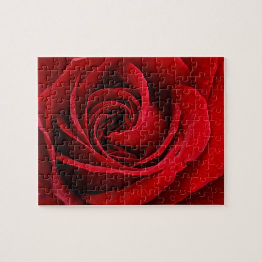Puzzle Rose Rouge Éclatante de Près (Horizontal)