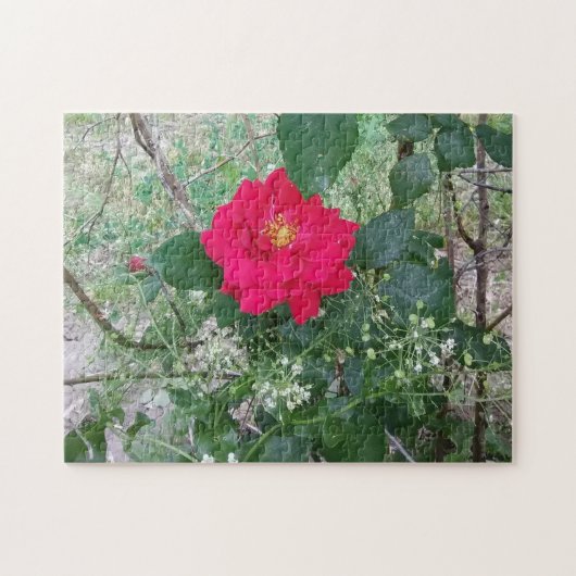 Puzzle Rose rouge Fleurs blanches (Horizontal)