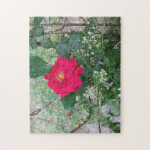 Puzzle Rose rouge Fleurs blanches (Vertical)