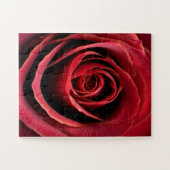 Puzzle Rose Rouge Macro Gros Plan (Horizontal)