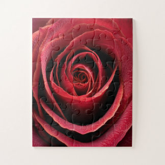 Puzzle Rose Rouge Macro Gros Plan
