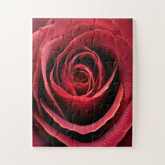 Puzzle Rose Rouge Macro Gros Plan (Vertical)