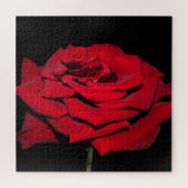 Puzzle Rose rouge - Noir (Horizontal)