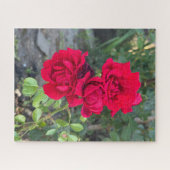 Puzzle Rose rouge, Oakland (Horizontal)
