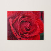 Puzzle Rose rouge simple en pleine floraison (Horizontal)