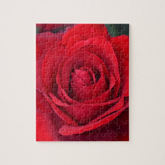 Puzzle Rose rouge simple en pleine floraison (Vertical)