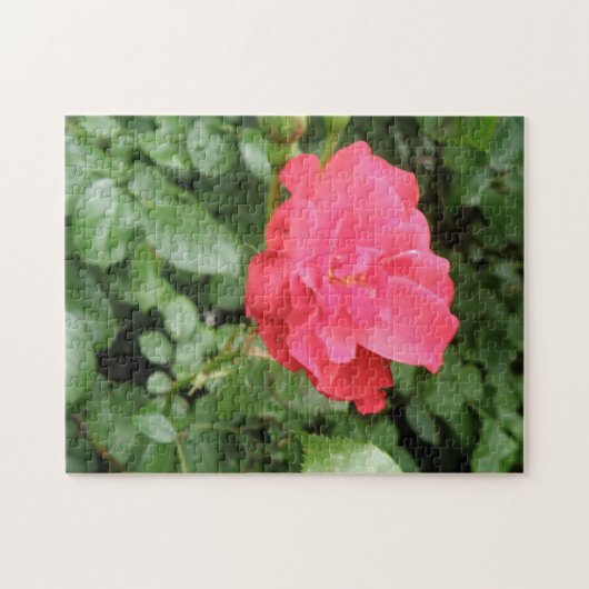 Puzzle Rose sauvage (Horizontal)