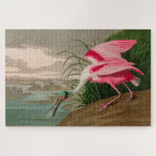Puzzle Rose Spoonbill Birds of America Audubon Print