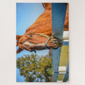Puzzle Rose Twilight | Thoroughbred Race Horse (Vertical)