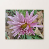 Puzzle Rose Wink ! (Horizontal)
