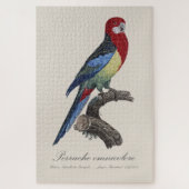 Puzzle Rosella orientale ou Perruche à tête pâle (Vertical)