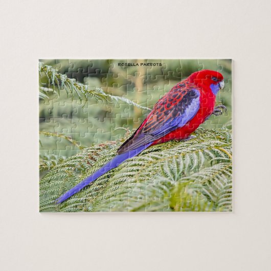 Puzzle Rosella Parrots Australie (Horizontal)