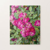 Puzzle Roses Dans Le Jardin (Vertical)