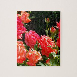 Puzzle Roses de corail romantique