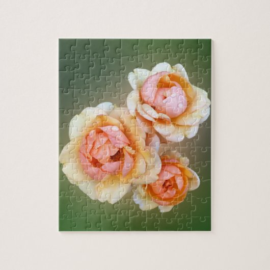Puzzle roses jaunes (Vertical)