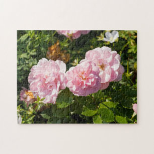 Puzzle Roses Roses Roses Dans Le Jardin
