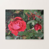 Puzzle Roses rouges et Bufs Roses Photographie florale (Horizontal)