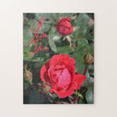 Puzzle Roses rouges et Bufs Roses Photographie florale (Vertical)