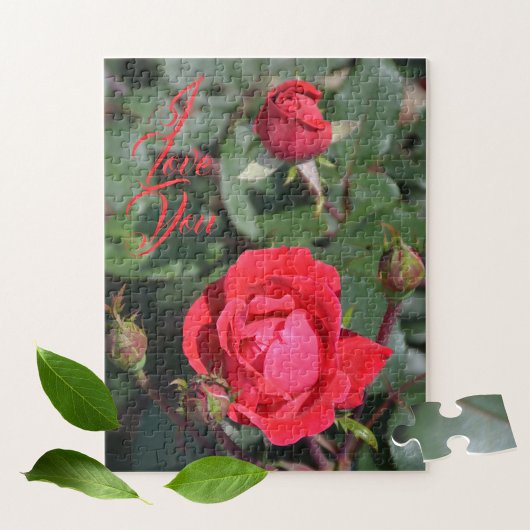Puzzle Roses rouges et Bufs Roses Photographie florale