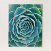 Puzzle Rosette d'Echeveria, Jardin Secret de Marrakech (Vertical)