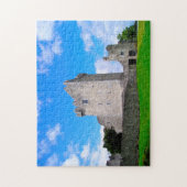 Puzzle Ross Castle Co.Kerry, Irlande. (Vertical)